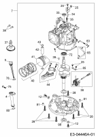 Ersatzteile MTD-Motoren Vertikal 1P65WHA Typ: 752Z1P65WHA  (2009) Rumpfmotor