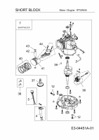 Ersatzteile MTD-Motoren Vertikal 1P70WHA Typ: 752Z1P70WHA  (2009) Rumpfmotor