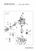 Ersatzteile MTD-Motoren Vertikal 1P61FHB Typ: 752Z1P61FHB  (2010) Rumpfmotor