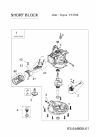 Ersatzteile MTD-Motoren Vertikal 1P61RHB Typ: 752Z1P61RHB  (2010) Rumpfmotor