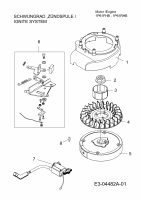 Ersatzteile MTD-Motoren Vertikal 1P61FHB Typ: 752Z1P61FHB  (2010) Schwungrad, Zündspule