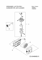 Ersatzteile MTD-Motoren Vertikal 1P65RHA Typ: 752Z1P65RHA  (2013) Vergaser, Luftfilter
