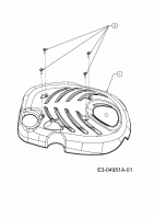 Ersatzteile MTD Motorhacke T/240 Typ: 21A-M5MI602  (2009) Motorhaube M1 