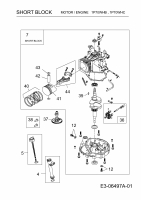 Ersatzteile MTD-Motoren Vertikal 1P70WHB Typ: 752Z1P70WHB  (2010) Rumpfmotor
