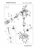 Ersatzteile MTD-Motoren Vertikal 2P70MHC Typ: 752Z2P70MHC  (2011) Rumpfmotor
