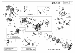 Ersatzteile MTD-Motoren Horizontal 490-SHA Typ: 752Z490-SHA  (2012) Motor