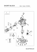 Ersatzteile MTD-Motoren Vertikal 1P61RHC Typ: 752Z1P61RHC  (2014) Rumpfmotor