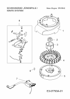 Ersatzteile MTD-Motoren Vertikal 1P61RHC Typ: 752Z1P61RHC  (2015) Schwungrad, Zündspule