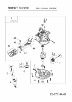 Ersatzteile MTD-Motoren Vertikal 5P65MHC Typ: 752Z5P65MHC  (2012) Rumpfmotor