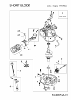 Ersatzteile MTD-Motoren Vertikal 1P70RHA Typ: 752Z1P70RHA  (2012) Rumpfmotor