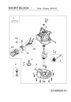 Ersatzteile MTD-Motoren Vertikal 1P61FHC Typ: 752Z1P61FHC  (2013) Rumpfmotor