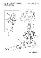 Ersatzteile MTD-Motoren Vertikal 1P61FHC Typ: 752Z1P61FHC  (2013) Schwungrad, Zündspule