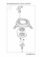 Ersatzteile MTD-Motoren Vertikal 1P61FHC Typ: 752Z1P61FHC  (2014) Reversierstarter