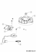 Ersatzteile MTD-Motoren Vertikal 1X65RH Typ: 752Z1X65RH  (2015) Zündung