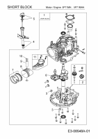 Ersatzteile MTD-Motoren Vertikal 5P71MHA Typ: 752M5P71MHA  (2014) Rumpfmotor