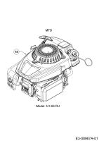 Cub Cadet Ersatzteile Kantenschneider LE 100 25B-552J710  (2015) Motor MTD