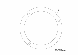 Ersatzteile WOLF-Garten Benzin Rasenmäher ohne Antrieb A 420 HW Typ: 11A-LV5N650  (2015) Unterlegring Motor 