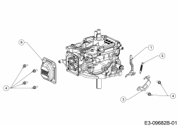 Ersatzteile MTD-Motoren Vertikal 1P57NH Typ: 752Z1P57NH  (2019) Reglerarm, Short Block, Zylinderkopfdeckel