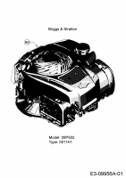 Ersatzteile MTD Rasenkantenschneider 550 G Typ: 25A-550G678  (2017) Motor Briggs & Stratton 