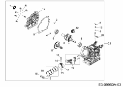 Ersatzteile MTD-Motoren Horizontal 670-JH Typ: 752Z670-JH  (2017) Rumpfmotor