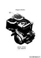 Cub Cadet Ersatzteile Motorhacken RT 75 21AC482R710  (2017) Motor Briggs & Stratton