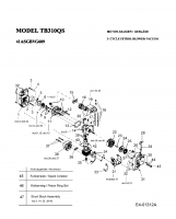 Ersatzteile Troy-Bilt Laubbläser, Laubsauger TB 310 QS Typ: 41ASGBVG609  (2006) Motor